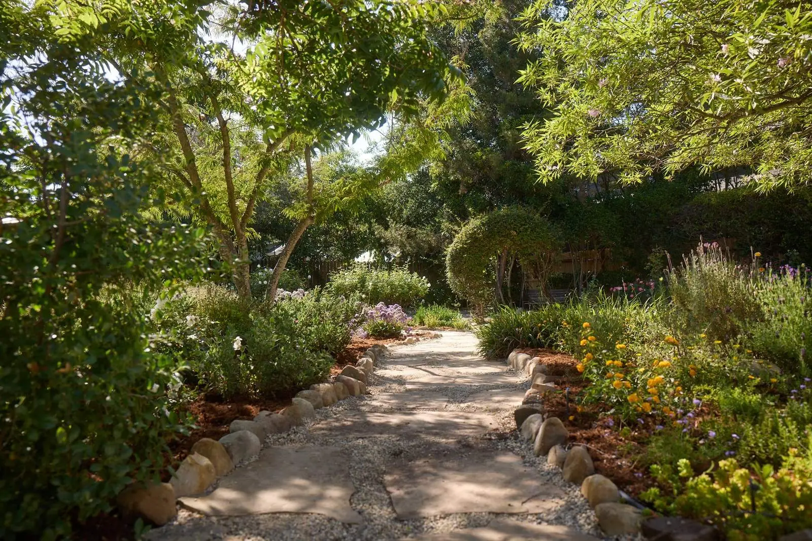 Garden path through mature plantings, Ojai Gridley